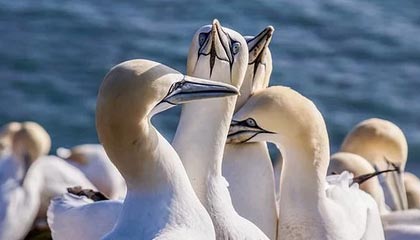 开云体育下载：点亮热爱体育的指尖体验