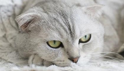 沙巴体育-星空体育首页，点亮你的运动新生活